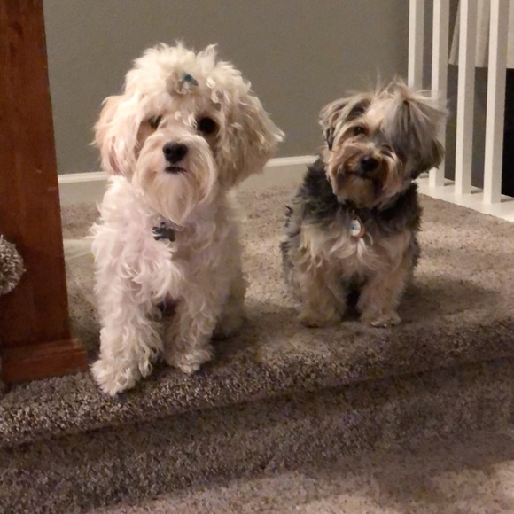 Meet your Posher, Lee - Picture 5 of 5